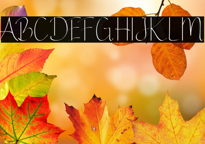 Ginger Spicedemo Example 3