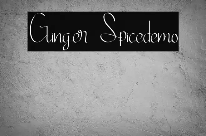 Ginger Spicedemo Font examples