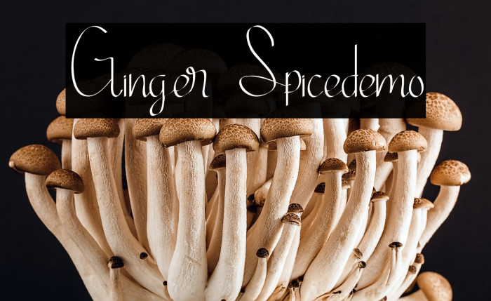 Ginger Spicedemo Example 3