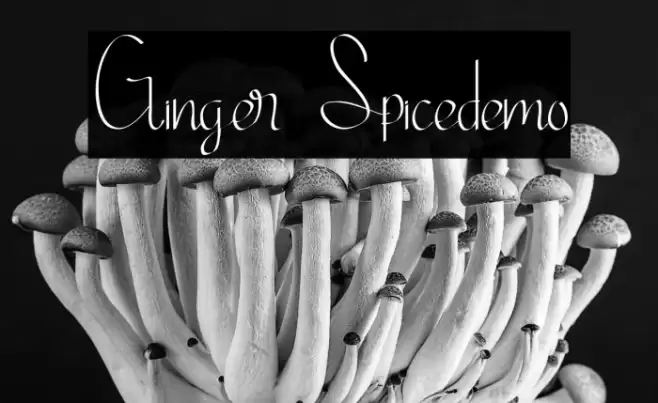 Ginger Spicedemo Font examples