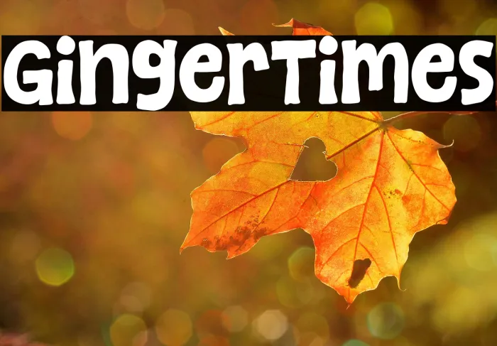 Ginger Times Example 1