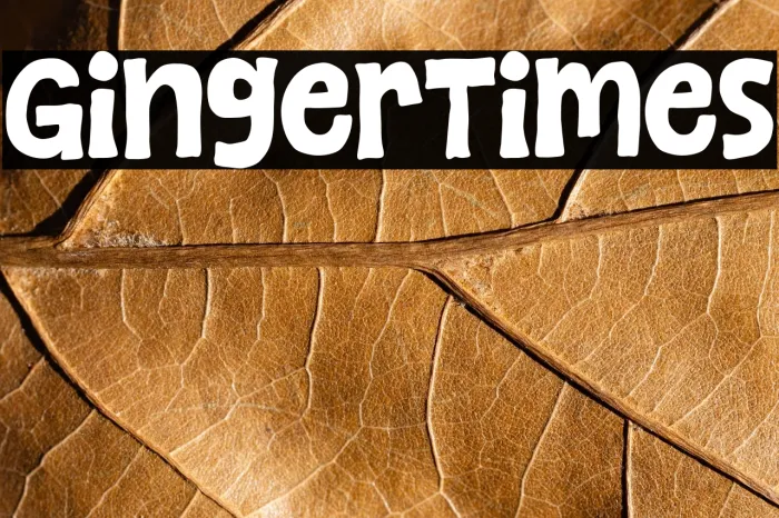 Ginger Times Example 2