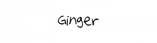 Ginger  Frei Schriftart Herunterladen