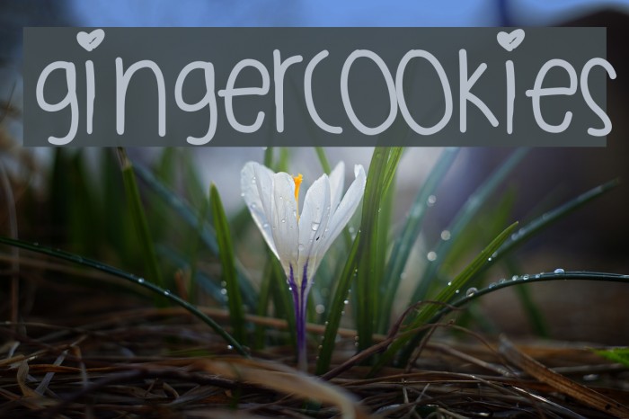 GingerCookies Font examples