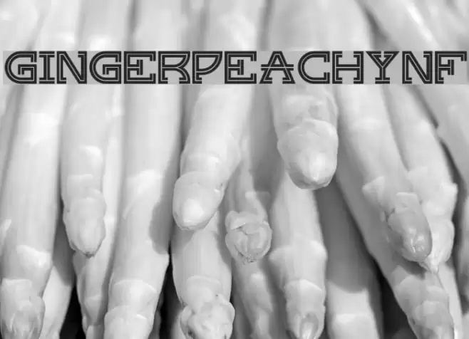 GingerPeachyNF Font examples