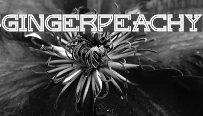 GingerPeachy 字体 examples