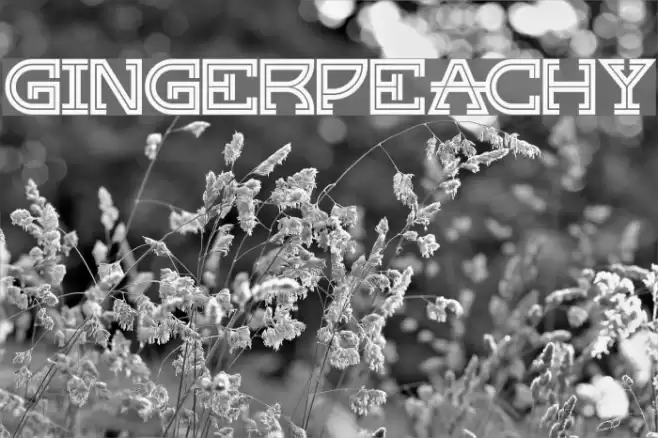 GingerPeachy 字体 examples
