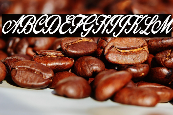 Gingerale Personal Use Regular Example 1