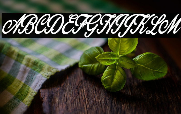 Gingerale Personal Use Regular Example 3