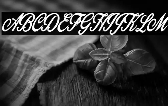 Gingerale Personal Use Regular Font examples