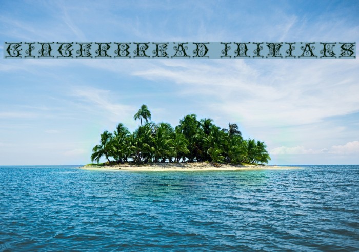 Gingerbread Initials Font examples