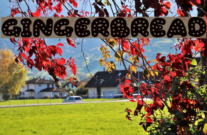 Gingerbread Font examples