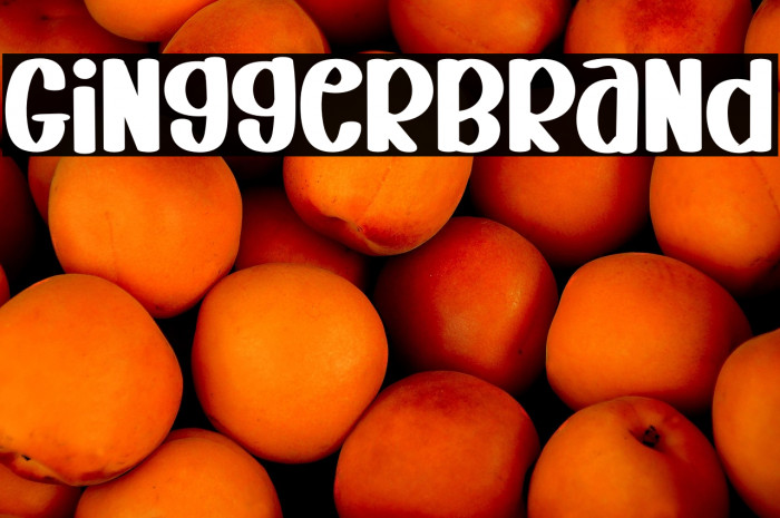 Gingger  Brand Example 2