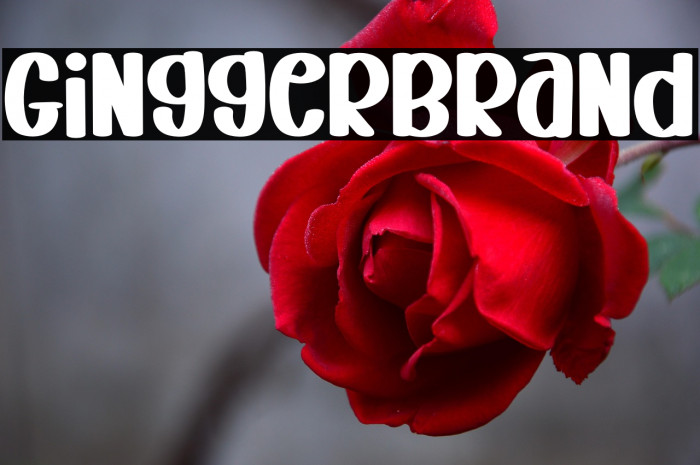 Gingger  Brand Example 3