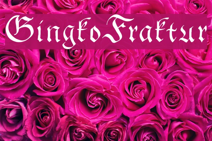 GingkoFraktur Font examples