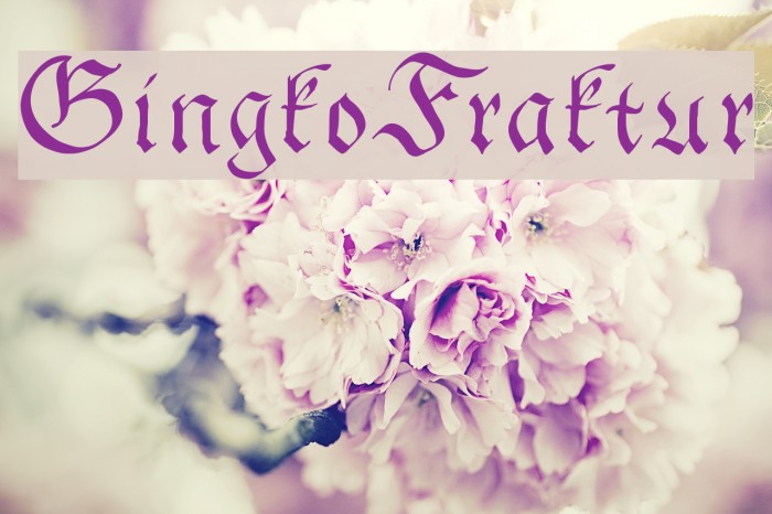 GingkoFraktur Font examples