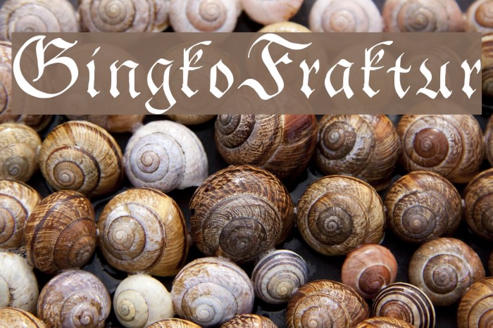 GingkoFraktur Font examples