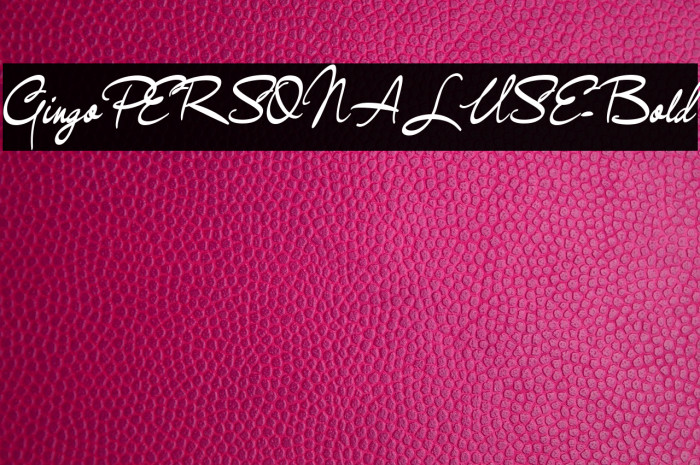 GingoPERSONALUSE-Bold Example 2