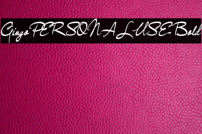 GingoPERSONALUSE-Bold Example 2