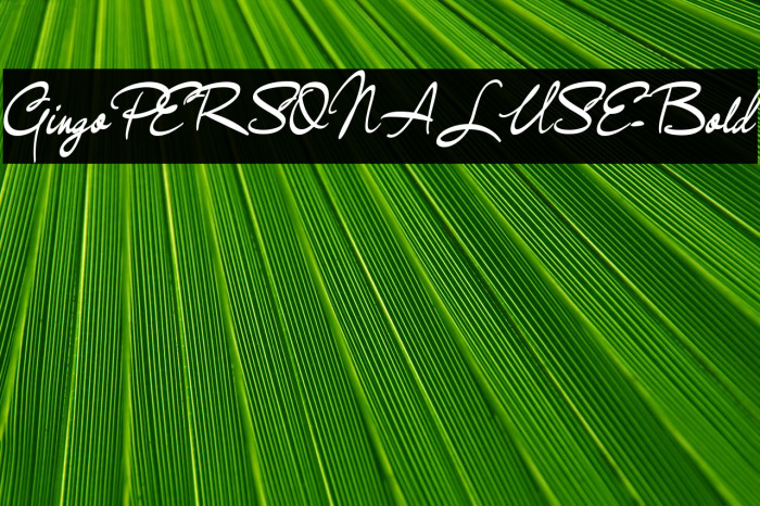 GingoPERSONALUSE-Bold Example 3