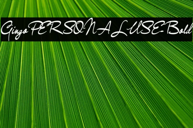GingoPERSONALUSE-Bold Example 3