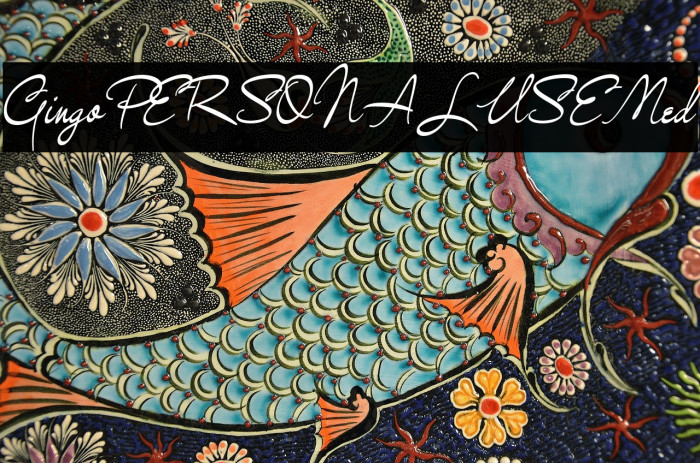 GingoPERSONALUSEMed Example 2