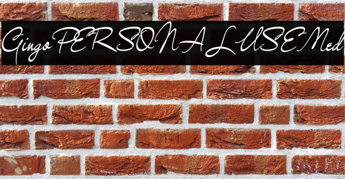 GingoPERSONALUSEMed Example 3