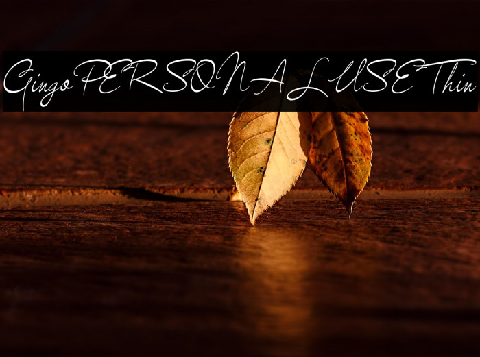 GingoPERSONALUSEThin Example 1