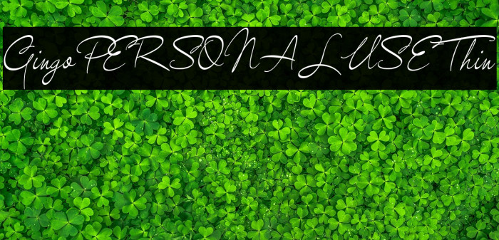 GingoPERSONALUSEThin Example 2