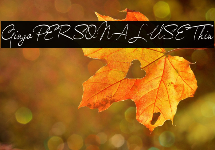 GingoPERSONALUSEThin Example 3