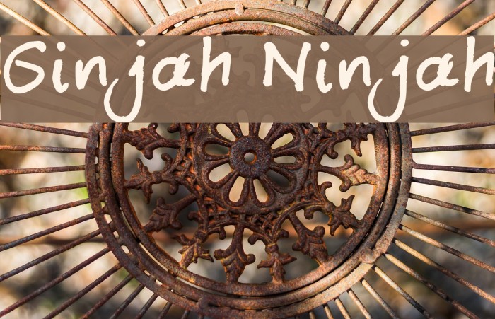 Ginjah Ninjah Font examples