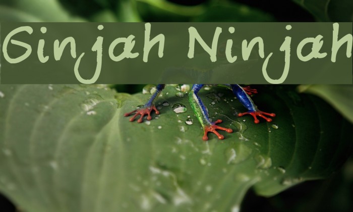 Ginjah Ninjah Font examples