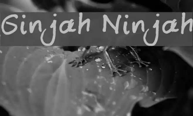 Ginjah Ninjah フォント examples