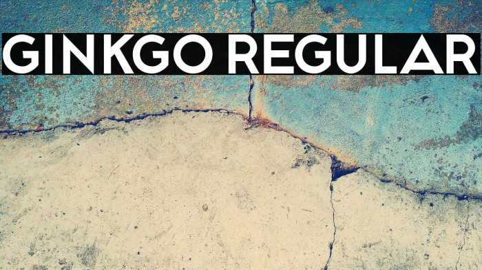 Ginkgo Regular Example 2