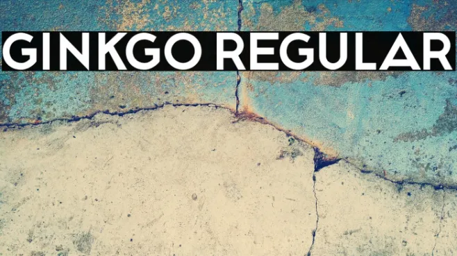 Ginkgo Regular Example 2