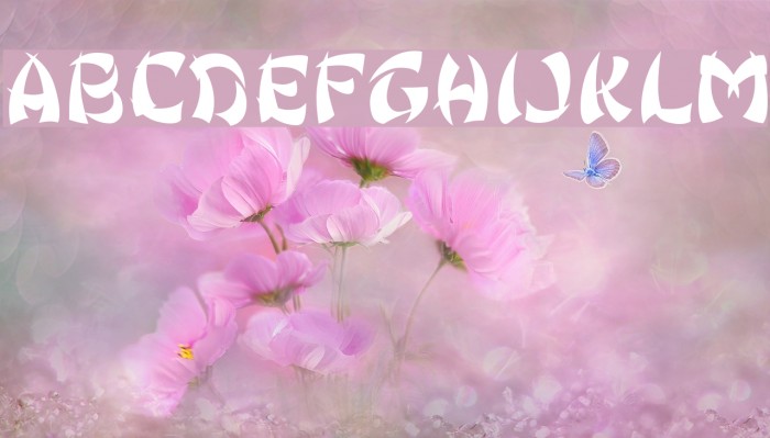 Ginko Font examples