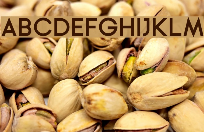 Ginora Sans Bold Example 1