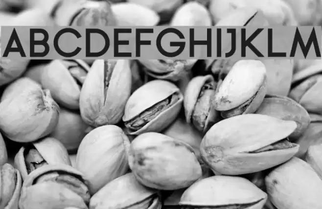 Ginora Sans Bold Font examples