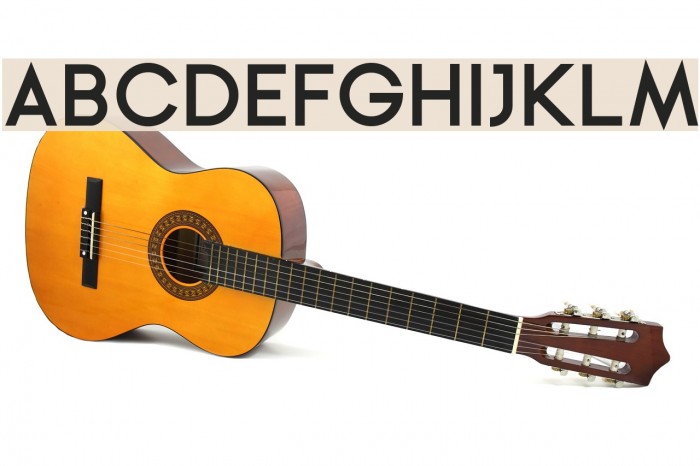 Ginora Sans Bold Example 3