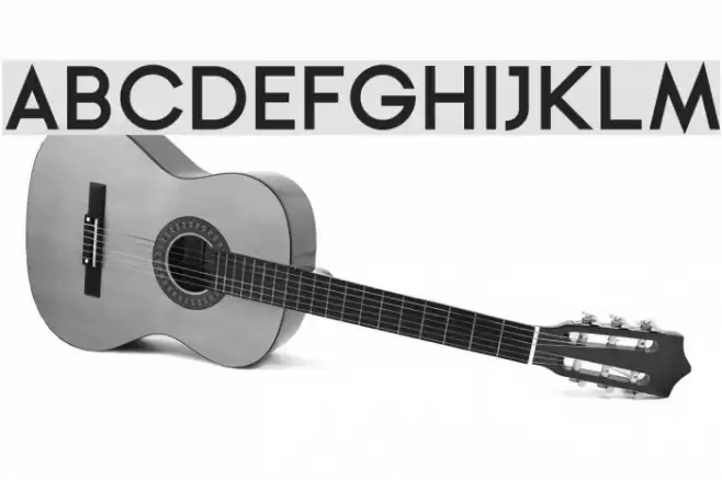 Ginora Sans Bold Font examples