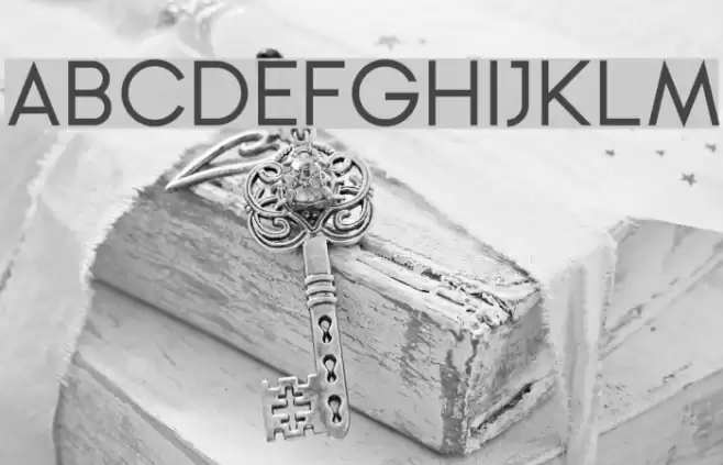 Ginora Sans Regular Font examples