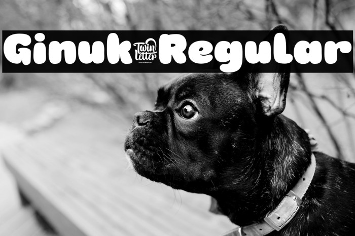 Ginuk-Regular Example 3