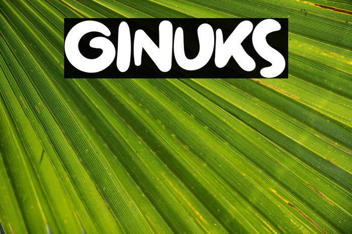 Ginuks Fonte examples