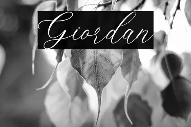Giordan Font examples