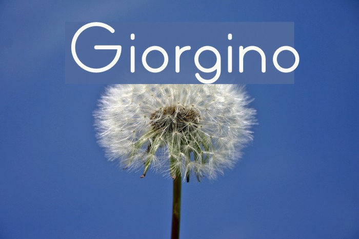 Giorgino Font examples