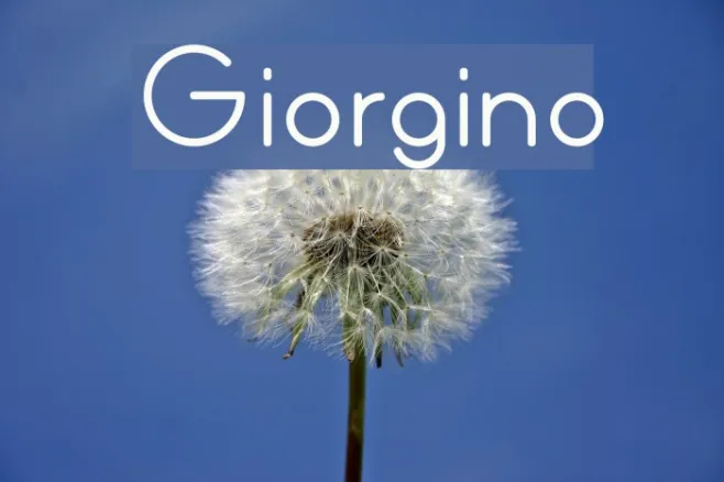 Giorgino Example 1