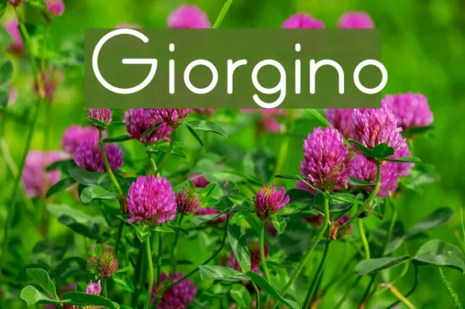 Giorgino Example 2
