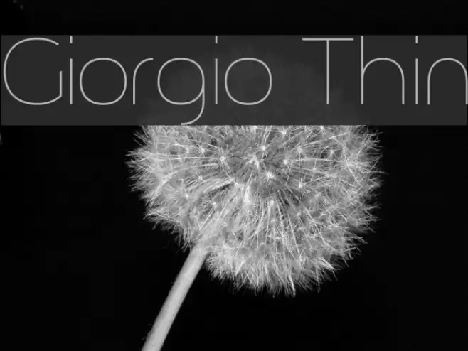 Giorgio Thin Font examples