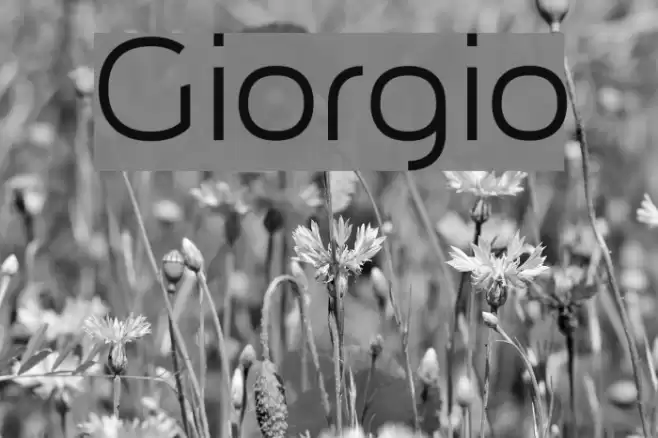 Giorgio Font examples