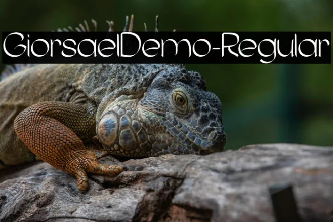 GiorsaelDemo-Regular Example 1